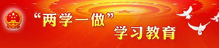 兩學(xué)一做